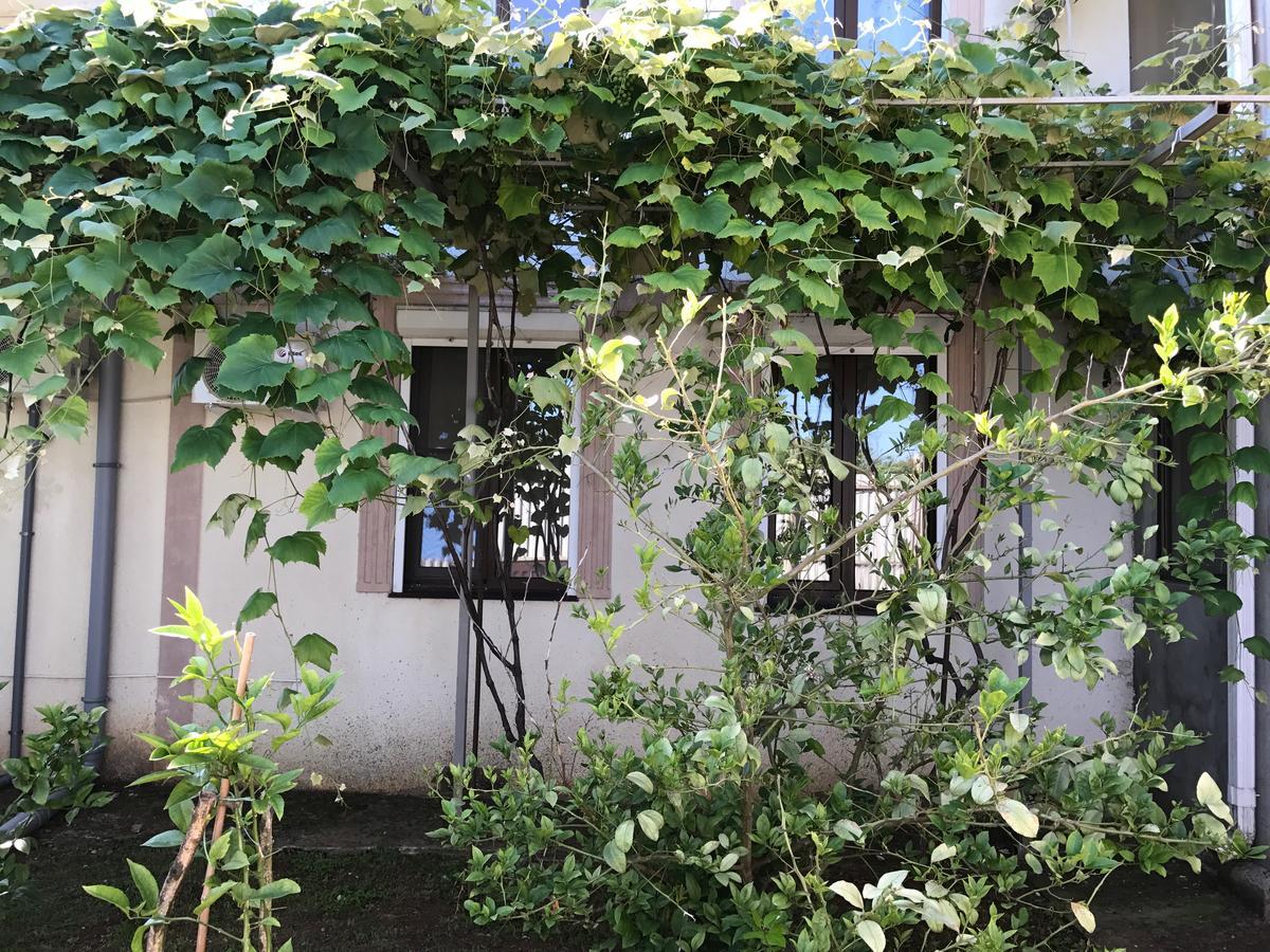 Vse Dlya Vas Guest House Гудаута Екстериор снимка